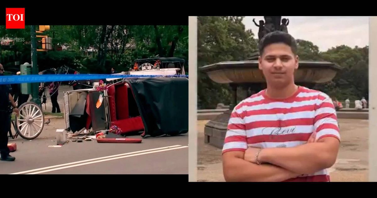 New York mayor Zohran Mamdani pushes to end horse carriage industry after Indian teen Romanch Mahajan's death