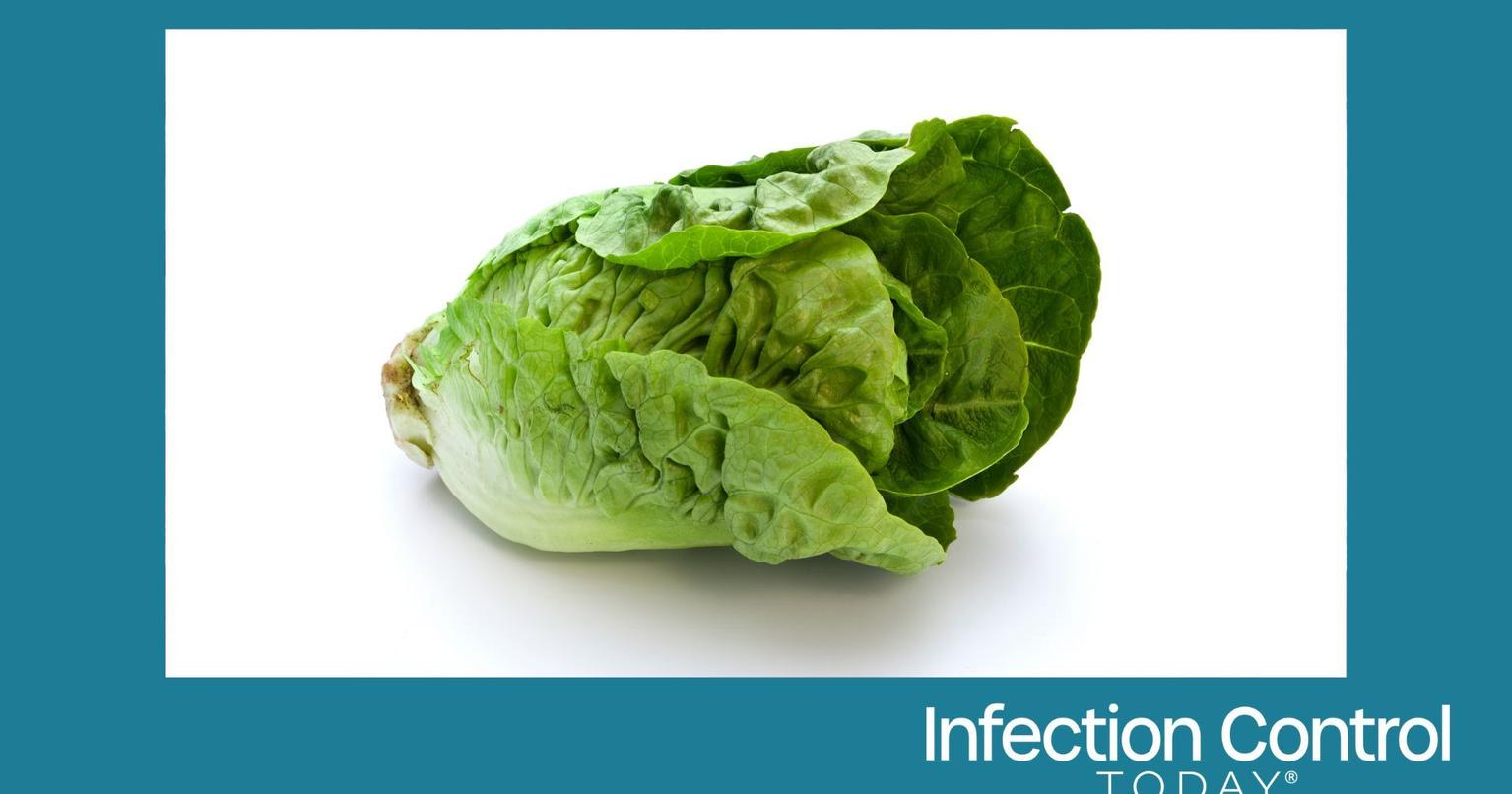Person holding contaminated lettuce with a concerned expression