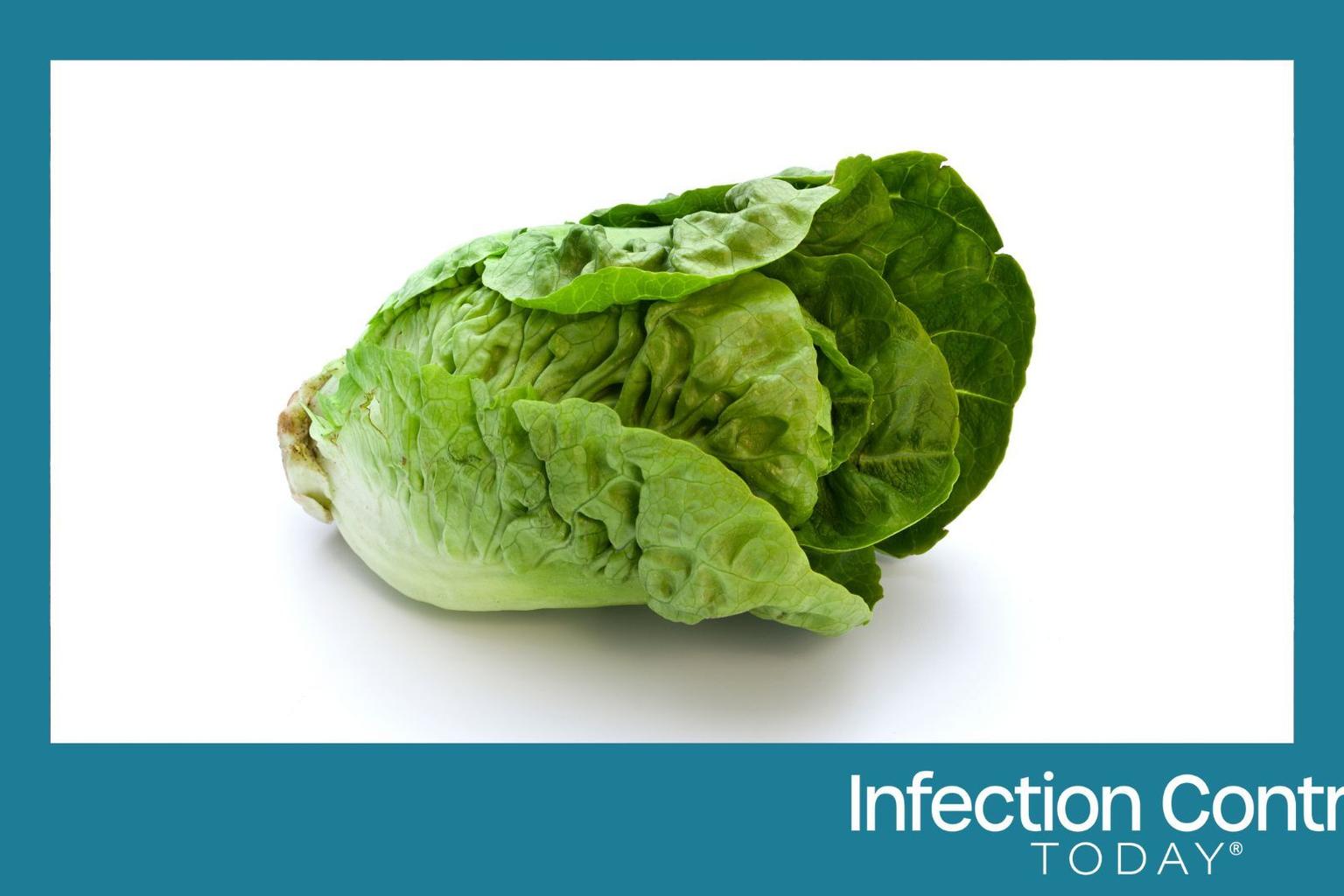 Person holding contaminated lettuce with a concerned expression