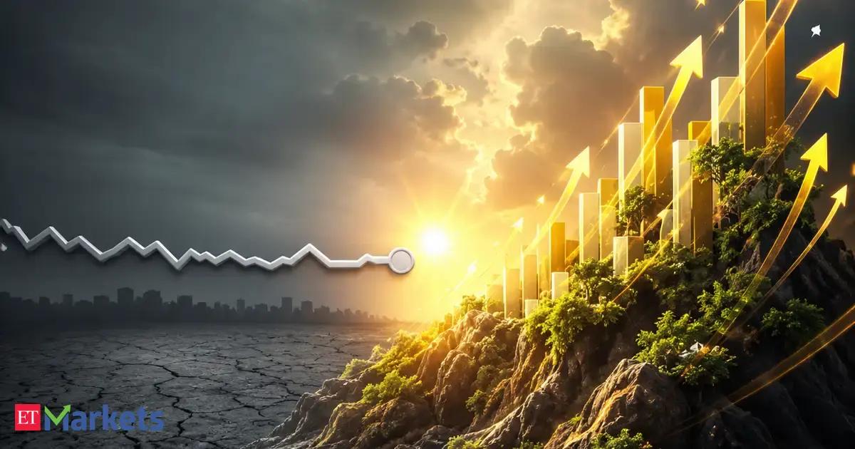 Silent winners! 43 stocks turned multibaggers even as Nifty went nowhere in 2 years