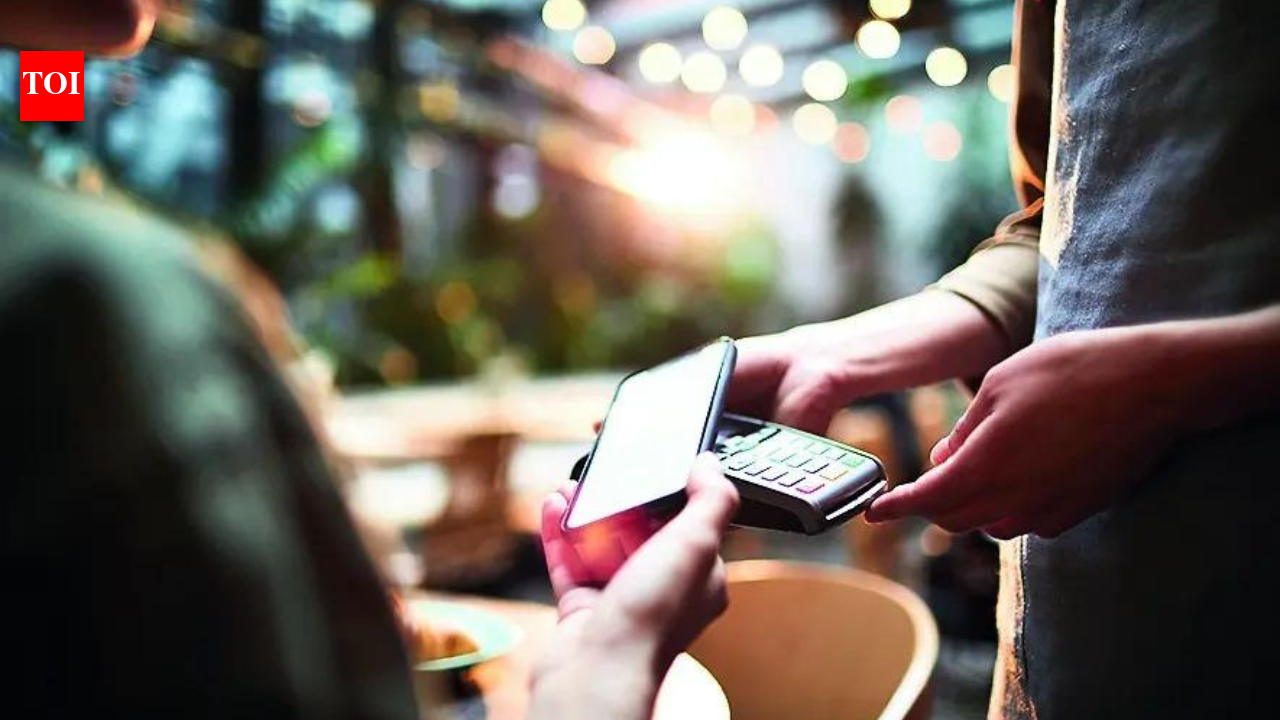 Indonesia looks beyond UPI, eyes India's digital blueprint