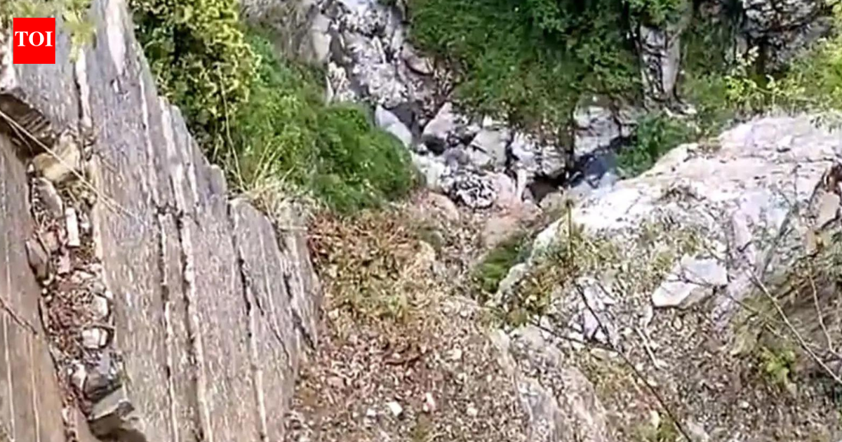 Army officer dies after falling into gorge during anti-terror operation in J&K's Rajouri