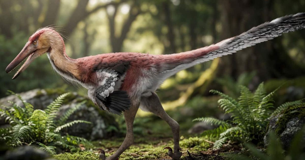 This dinosaur discovered in Argentina might have ties to China