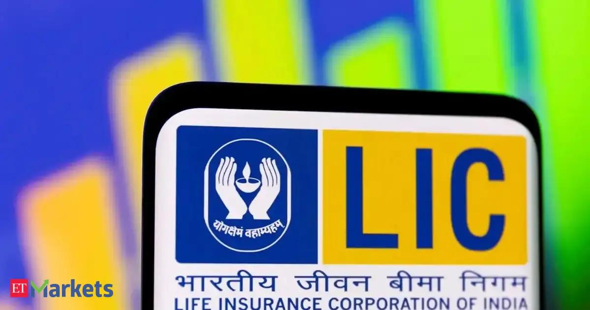 Investors showing interest in LIC's retail offer for sale
