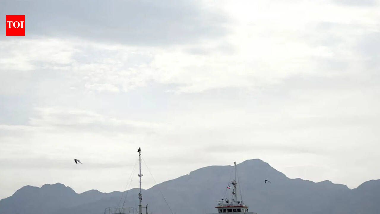 Rescued 14 Indians from sinking dhow, says US
