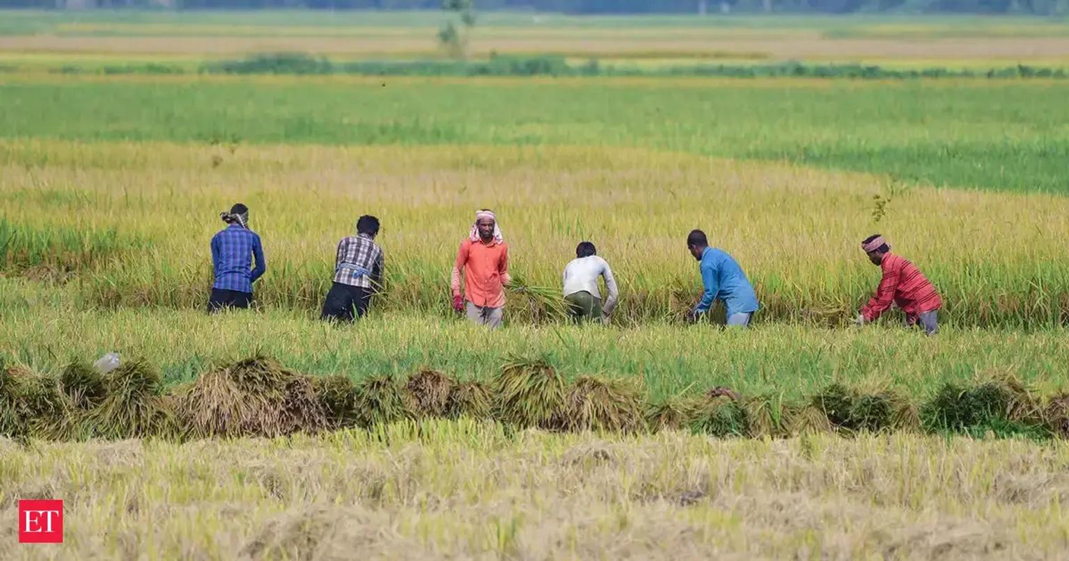 Farmers in a dry field looking at the sky for rain