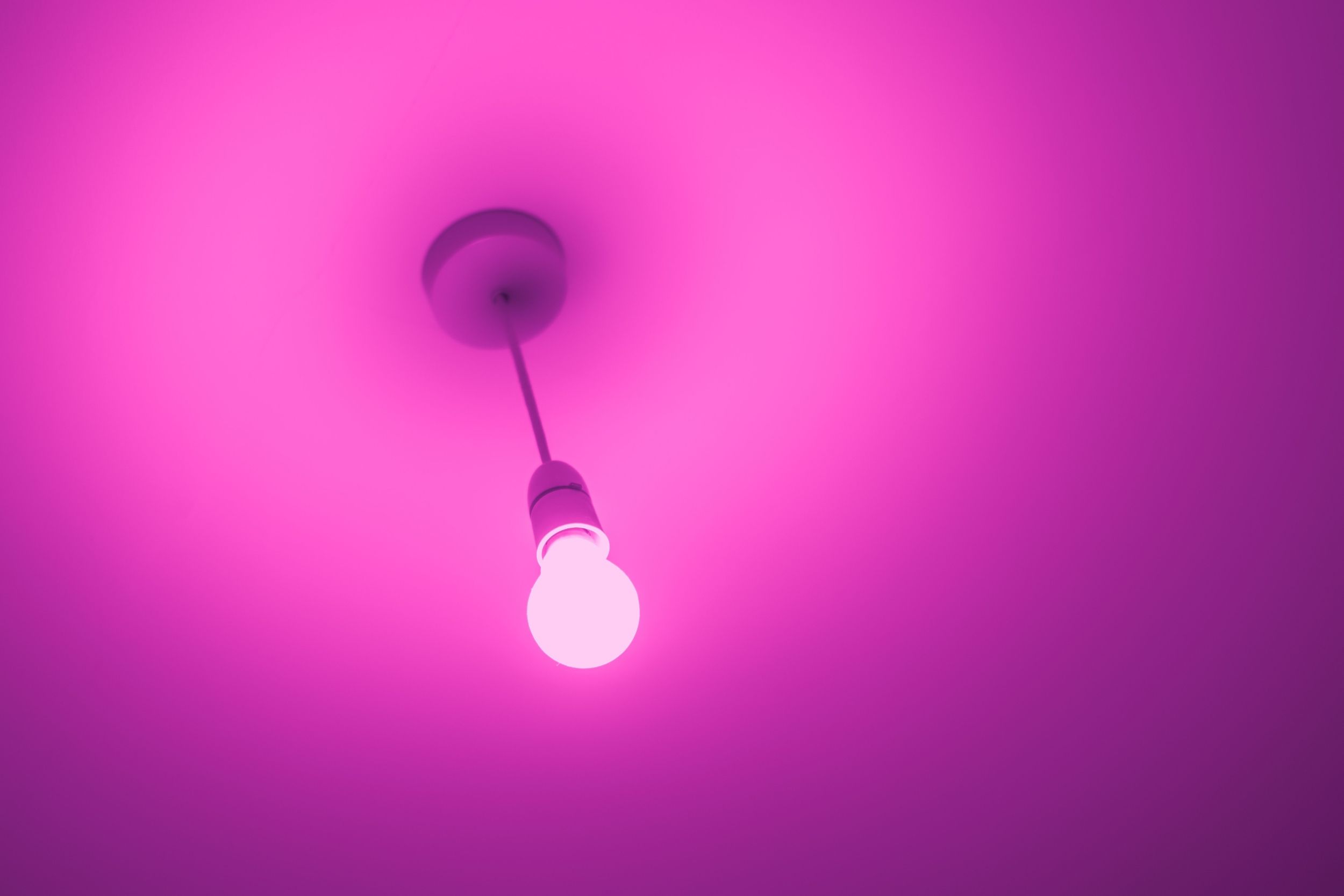 Philips Hue Bridge Pro smart lighting hub device