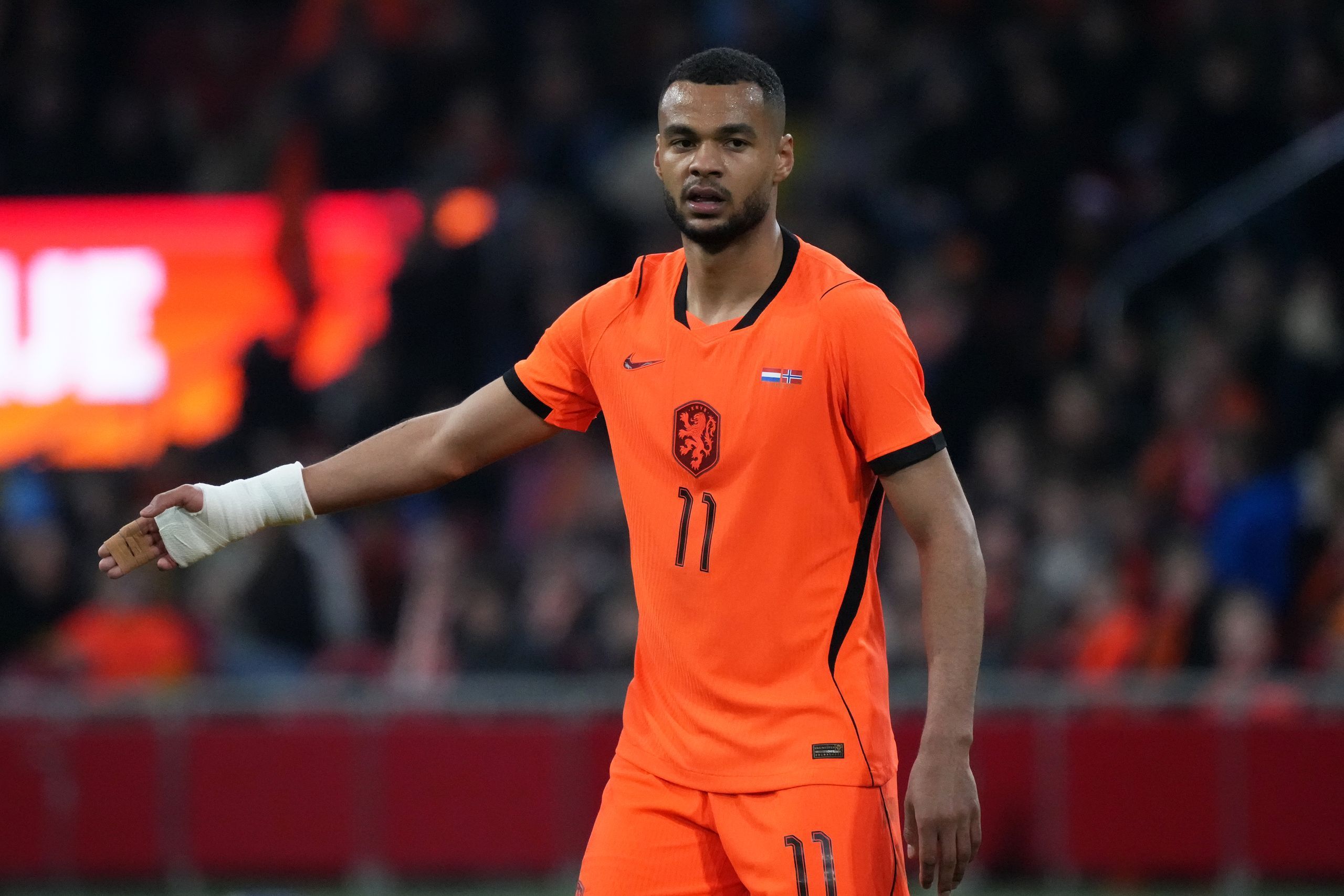 How to watch Tunisia vs Netherlands for FREE: Live stream details