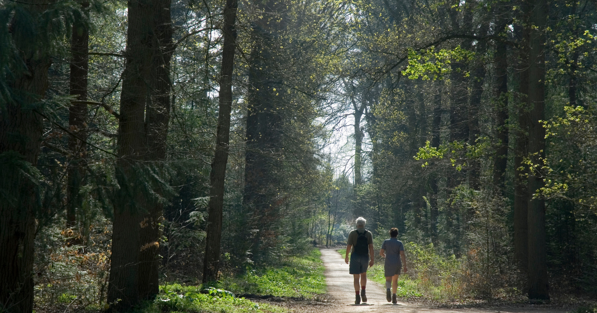 A study of nearly 20,000 people found there's a weekly amount of time in nature linked to real gains in health and wellbeing - and it's probably less than you think