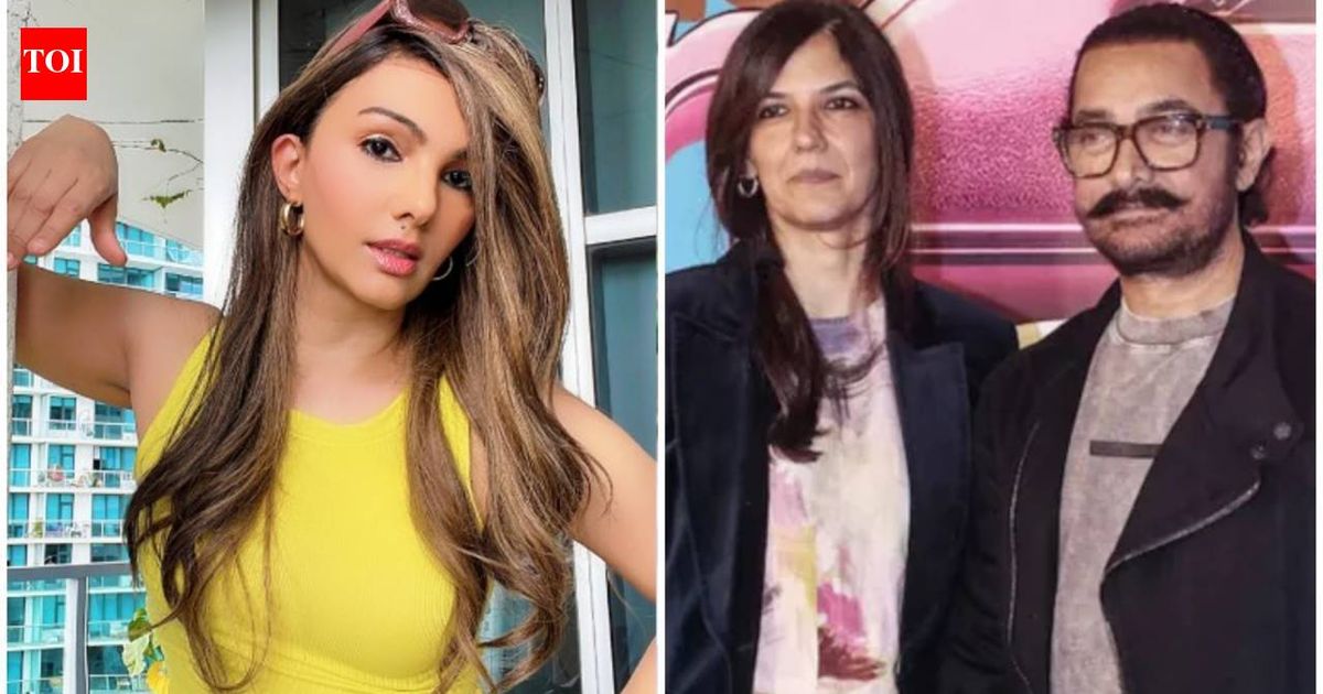 Salman Khan's ex Somy Ali congratulates Aamir Khan and Gauri Spratt ahead of July 5 wedding: 'Love doesn't follow a calendar'