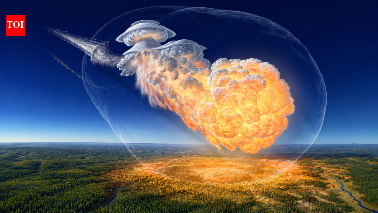 80 million trees were wiped out in seconds in Siberia after a space rock explosion more powerful than the Hiroshima bomb, but scientists never found a crater