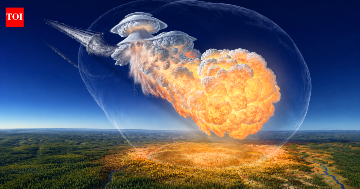 80 million trees were wiped out in seconds in Siberia after a space rock explosion more powerful than the Hiroshima bomb, but scientists never found a crater