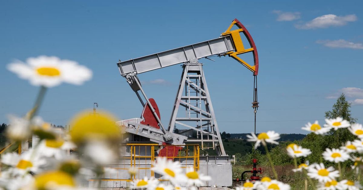 IndiGo jumps 3%, HPCL gains 4%, tyre stocks rise 2-3% as falling crude oil prices lift oil-sensitive shares
