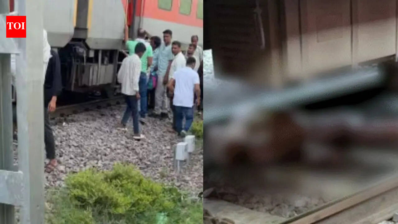 Fire rumours halt train in Morena, 4 run over by another
