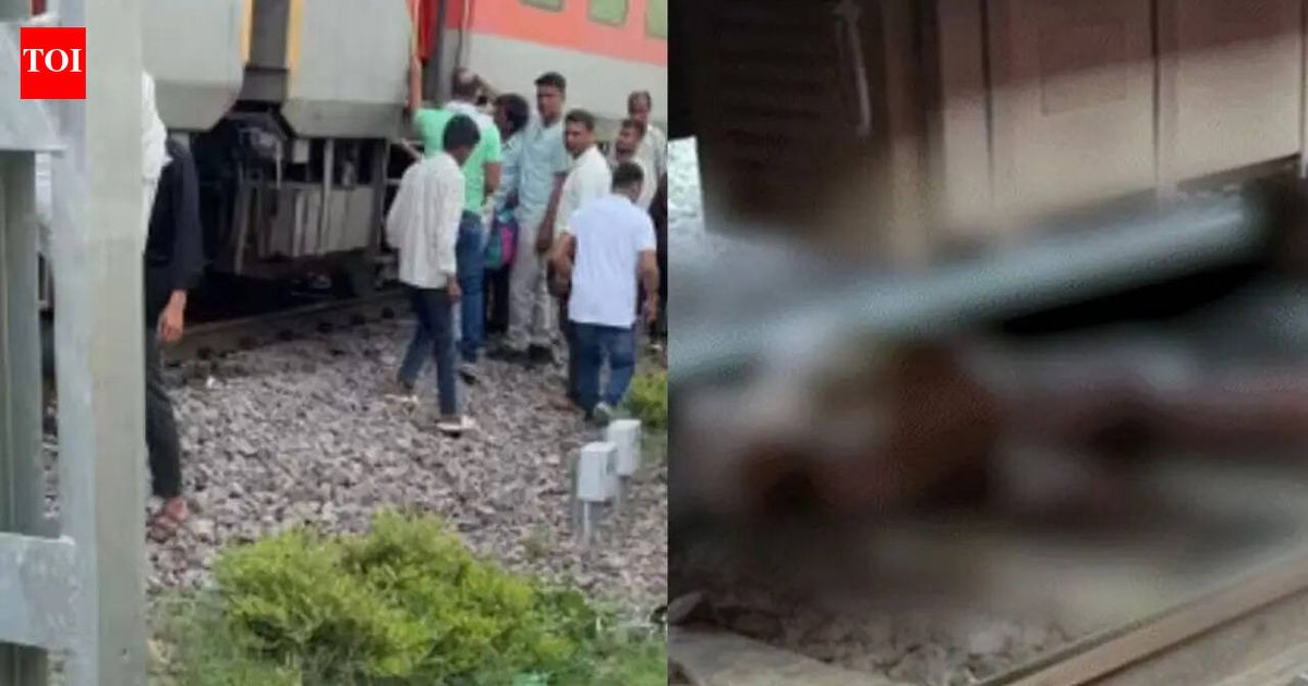 Fire rumours halt train in Morena, 4 run over by another