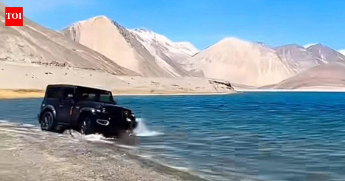 Thar off-roading in Pangong, Fortuner chasing gazelle in Changthang: 4 tourists fined Rs 50,000 each for 1st time in Ladakh