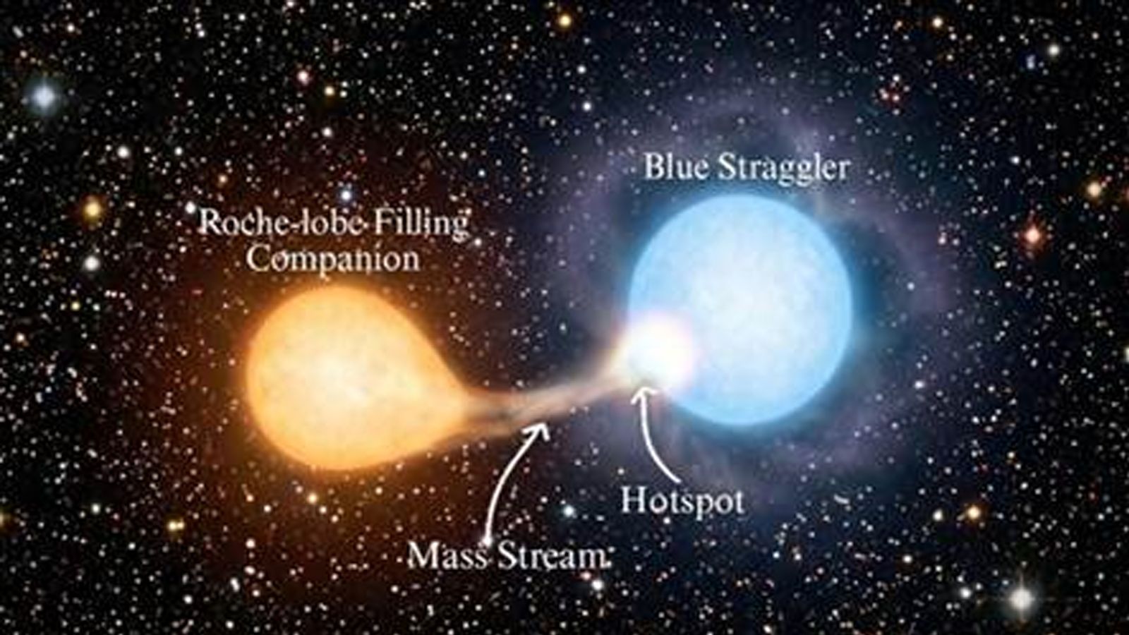 Indian astronomers observing a Blue Straggler Star in formation