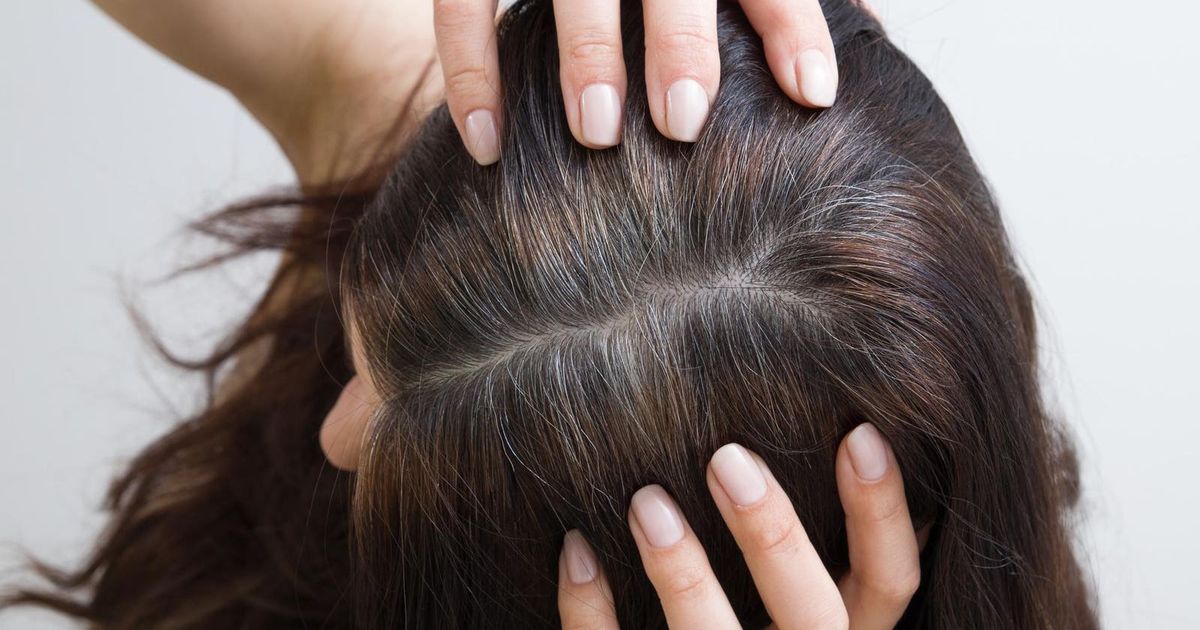Why Do Humans Have Grey Hair? A Biologist Explains What’s Happening