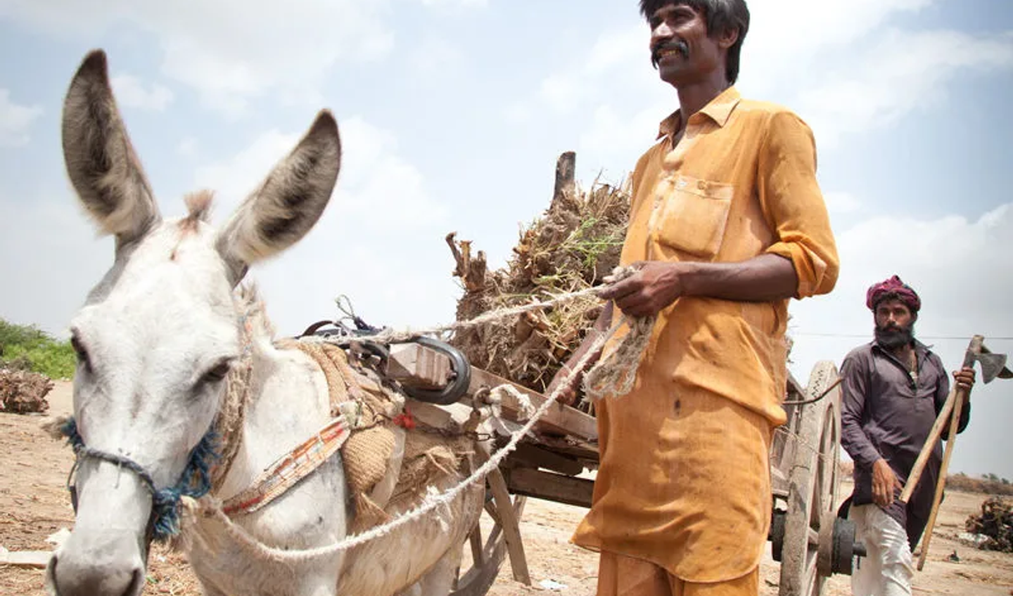 Småskalabønder Småskalabønder