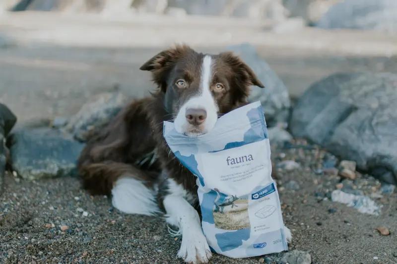 Hund som passer på en pose med Fauna dyrefôr