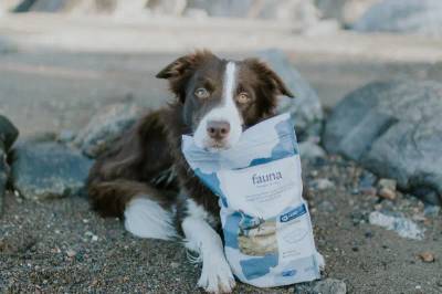 Hund som passer på en pose med Fauna dyrefôr