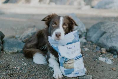 Hund som passer på en pose med Fauna dyrefôr