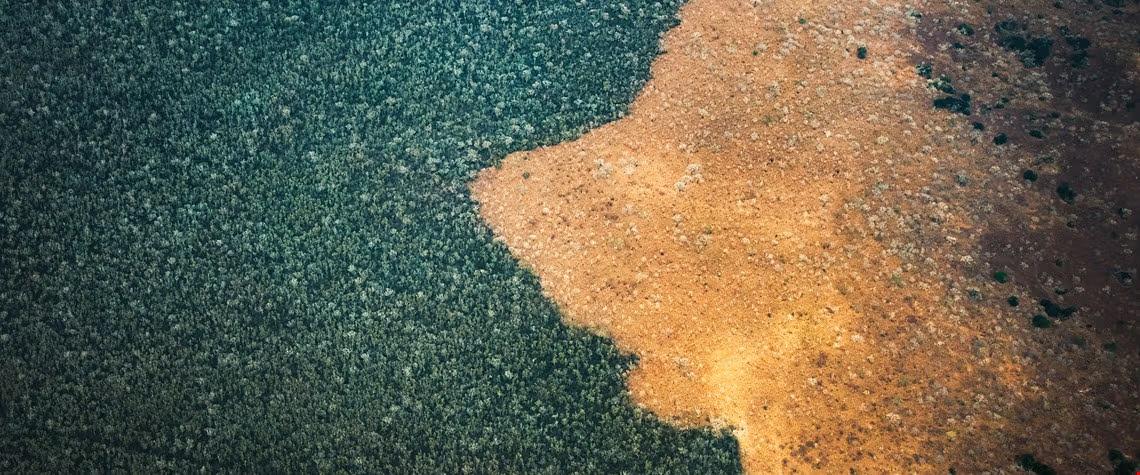 Oversiktsbilde av avskoging