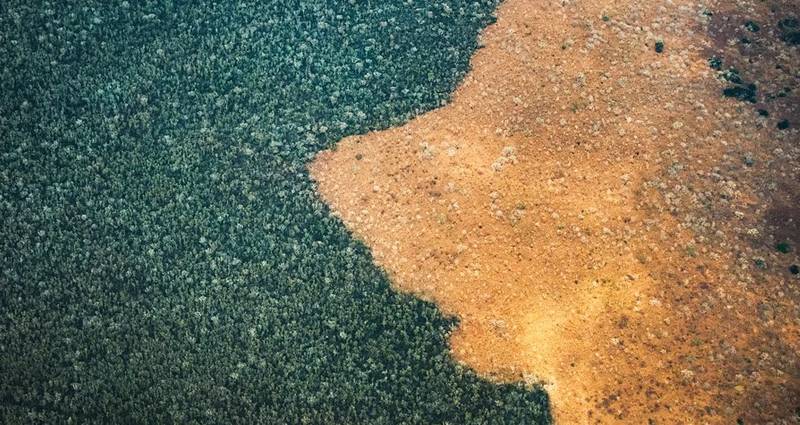 Oversiktsbilde av avskoging