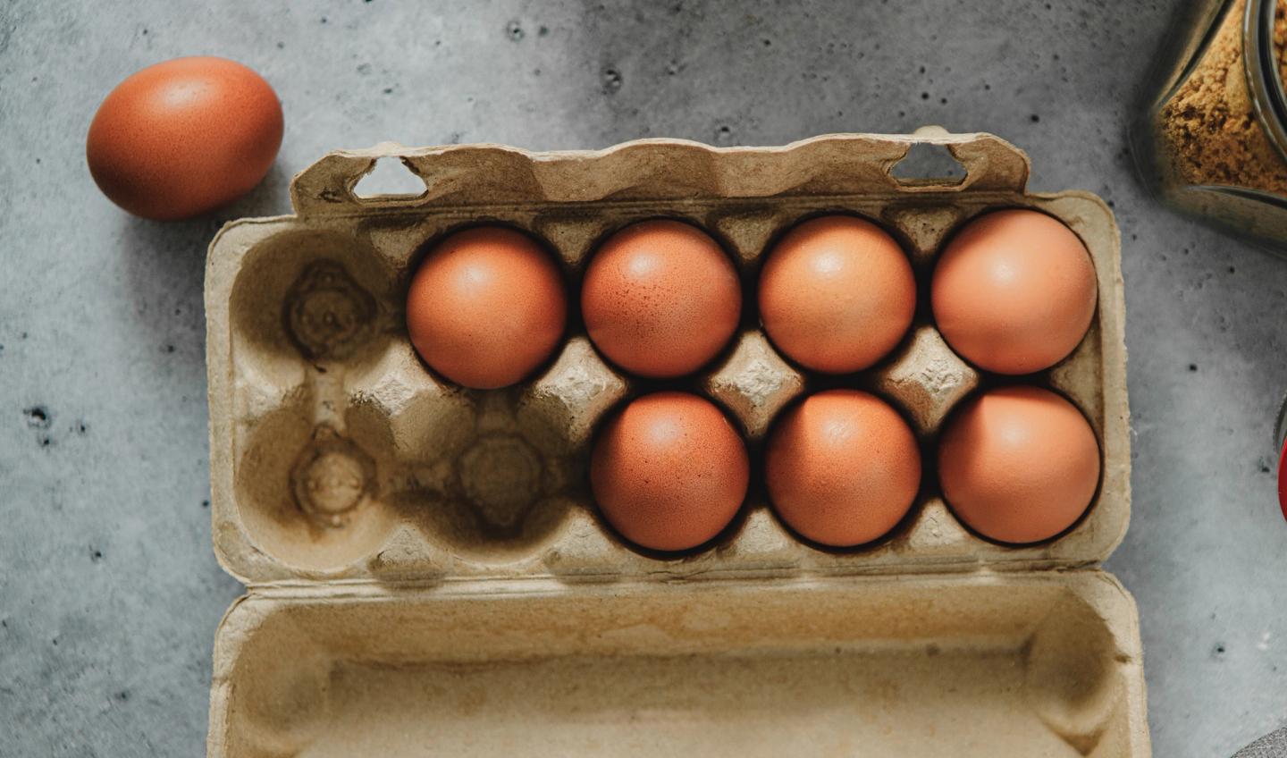 Egg i kartong Egg i kartong