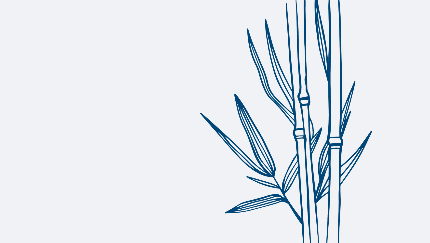 Illustrasjon av bambus