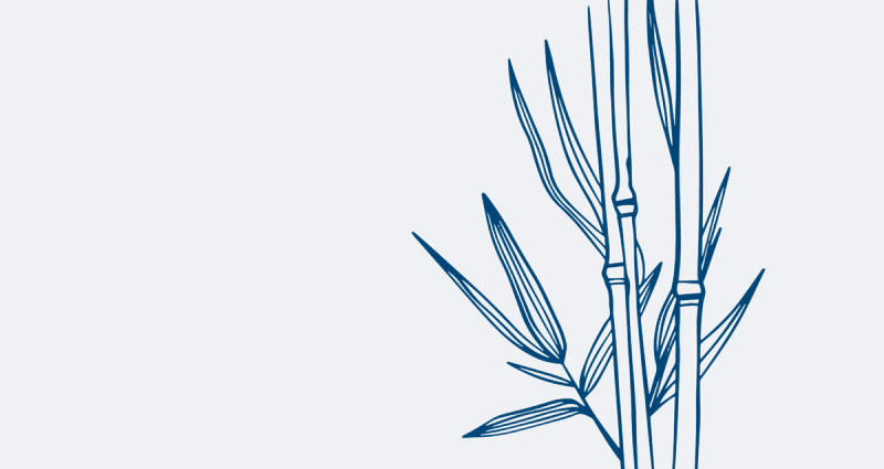 Illustrasjon av bambus