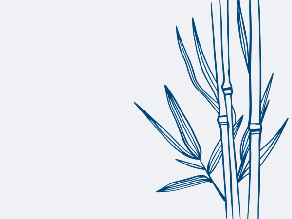 Illustrasjon av bambus