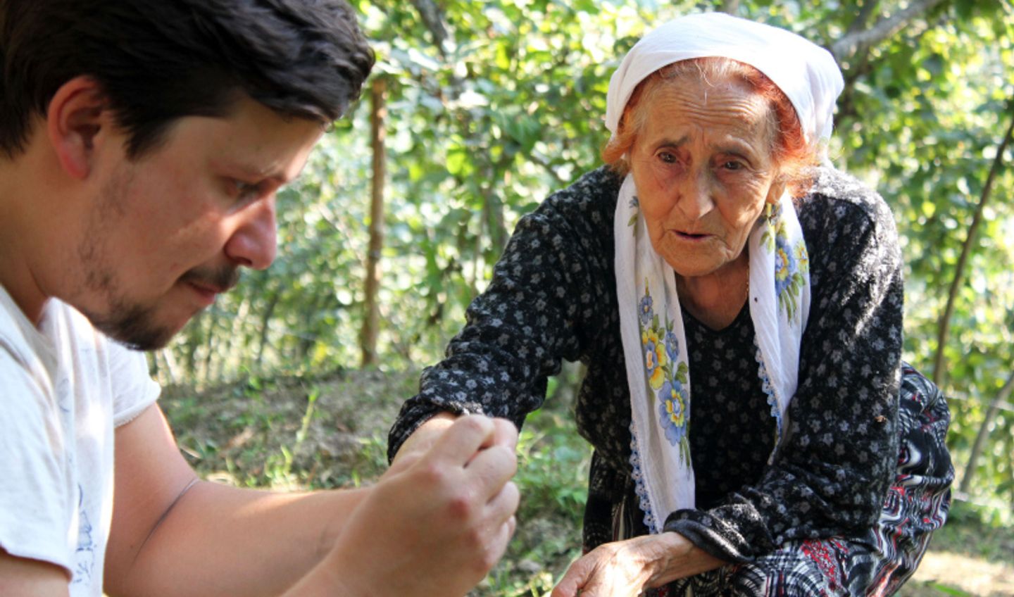 Tyrkiske bønder som inspiserer hasselnøtter Tyrkiske bønder som inspiserer hasselnøtter