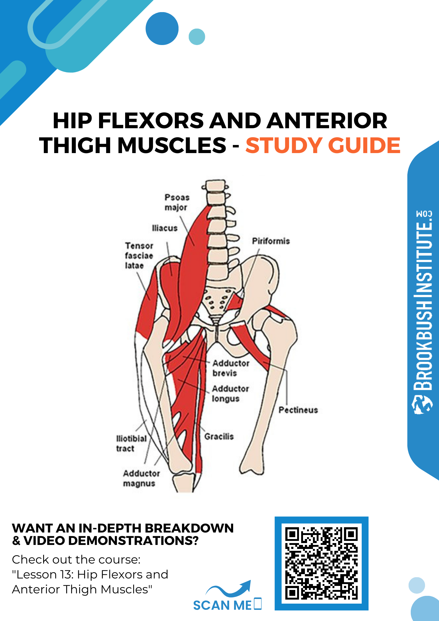 The Mighty Hip Flexors – Pain Academy