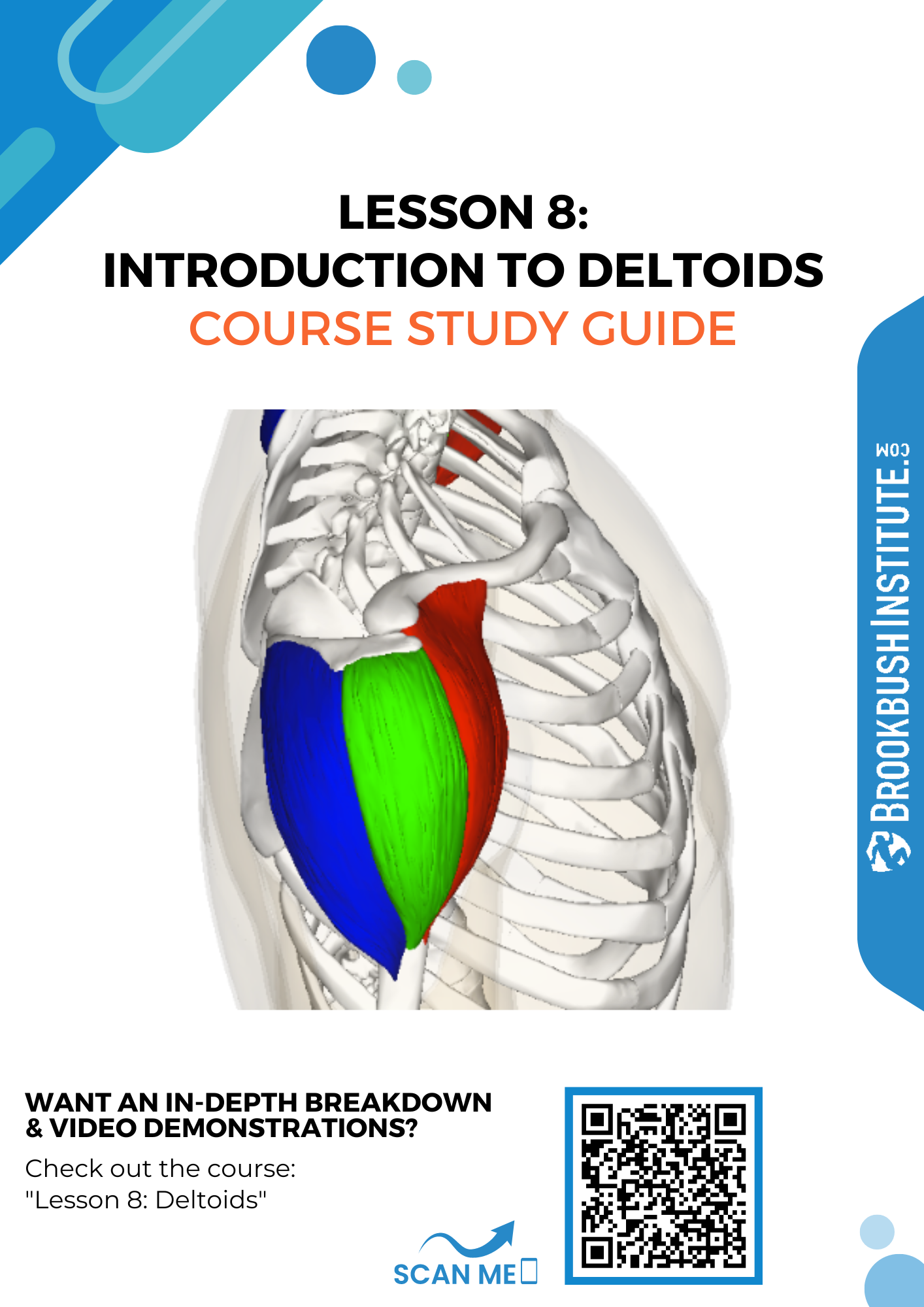 Lesson 8: Introduction To Deltoids
