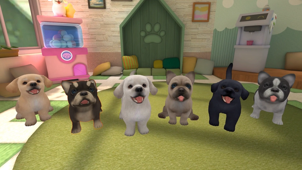 Choose Your New Best Friend