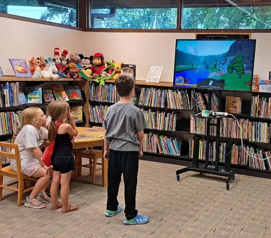 Local libraries