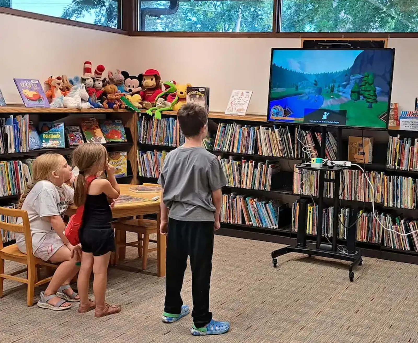 Local libraries