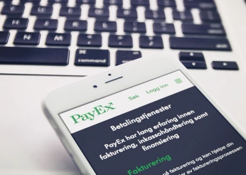 Viser Payex-appen