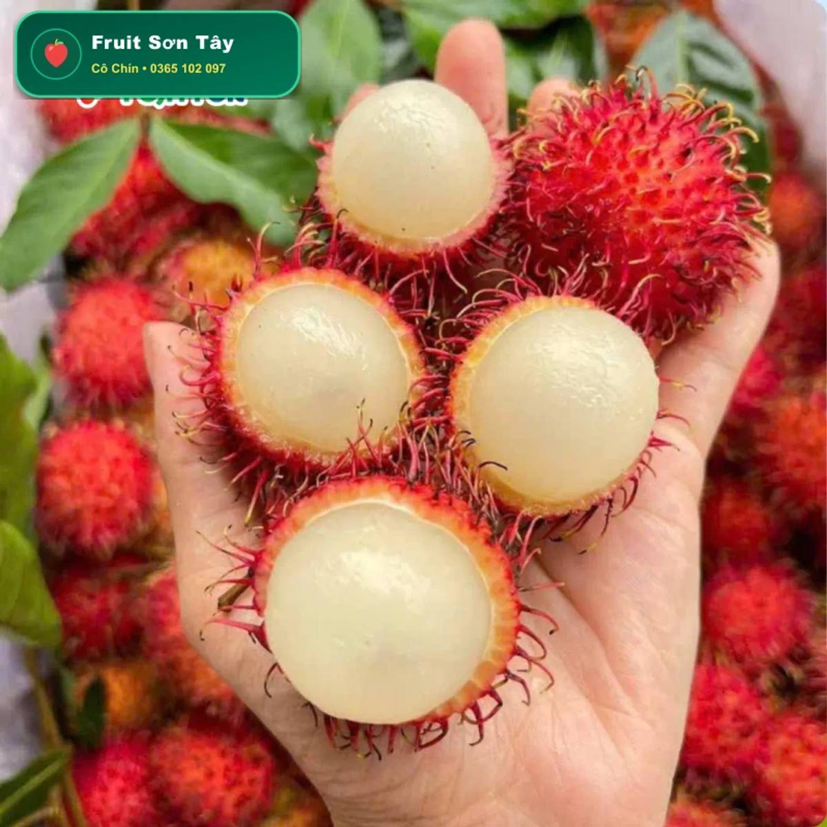 Chôm Chôm Thái Miền Tây Cơm Dày Tróc Tép