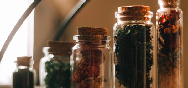 estratti vegetali negli integratori naturali