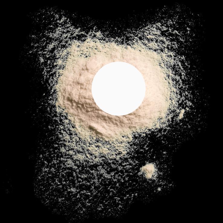 Polvere di nucleotidi Ribocare®