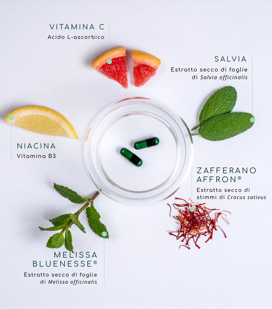 Pillole e ingredienti