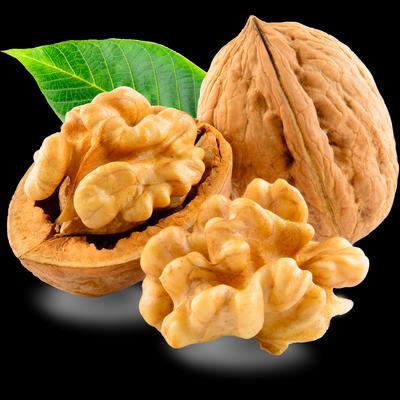 Noci: fonte di magnesio