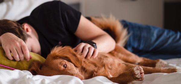 come rispettare i meccanismi del sonno