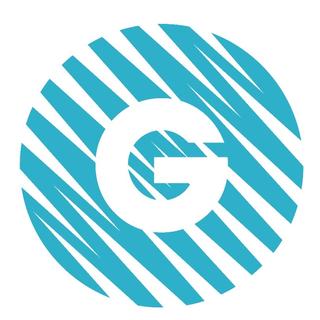Gina Aesthetics and Well-being logo