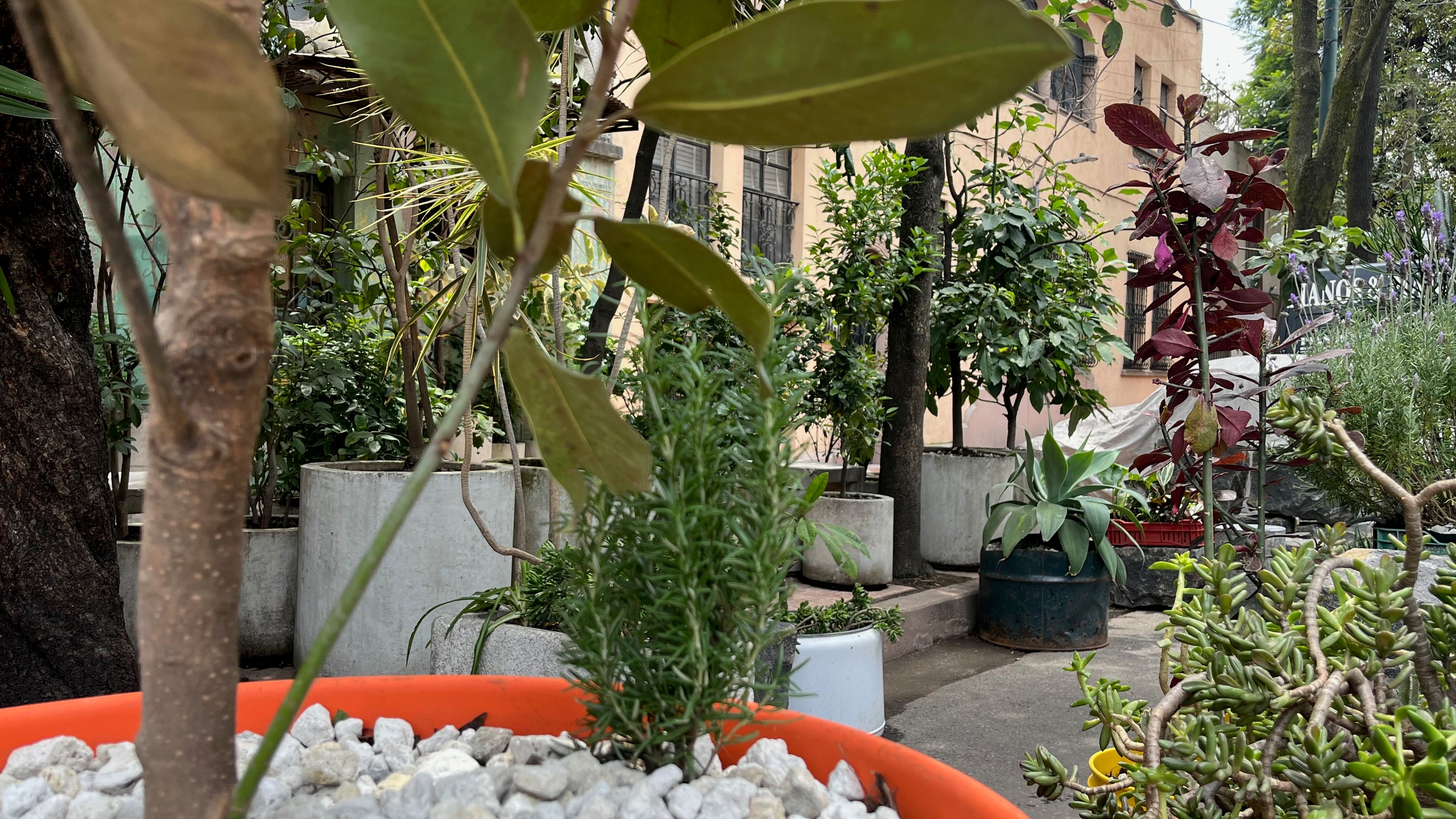 Gallery image 11