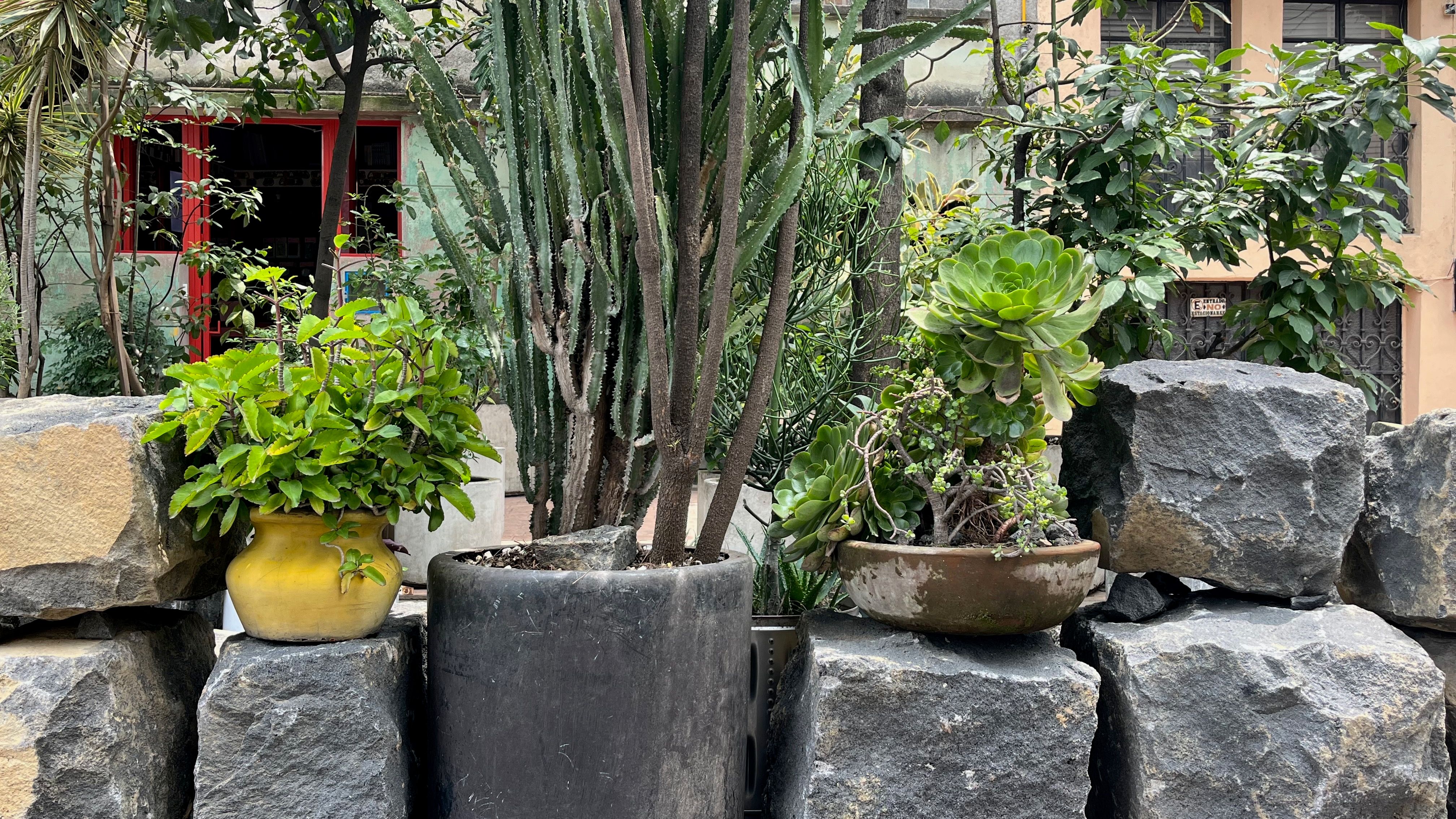 Gallery image 21