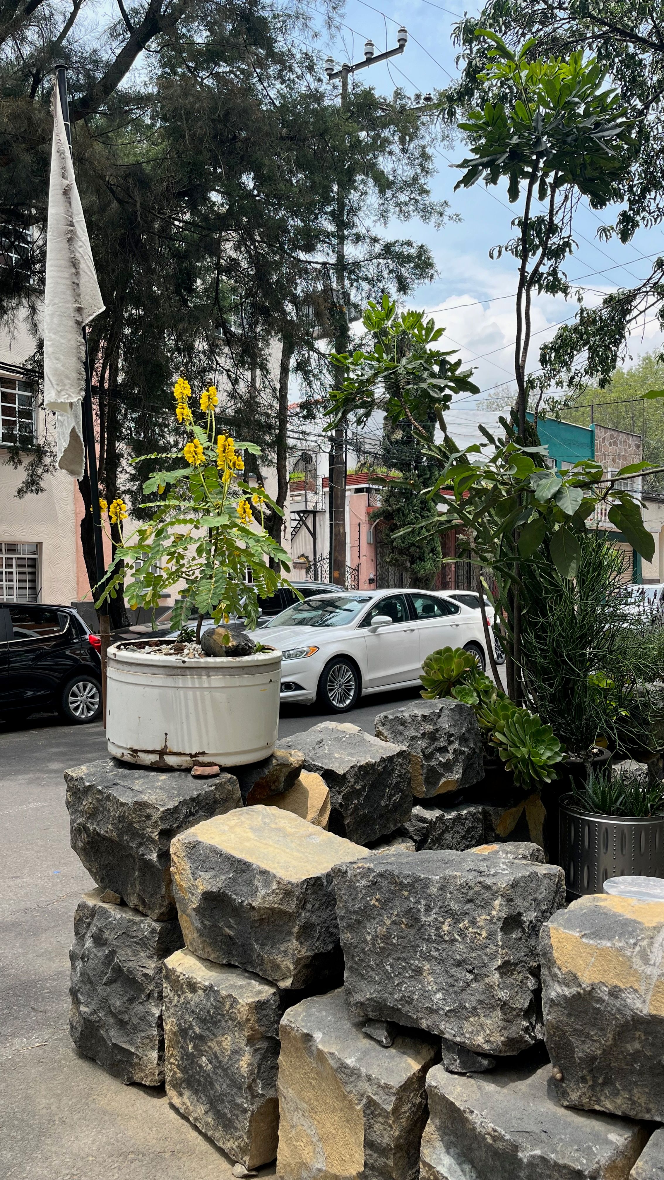Gallery image 53