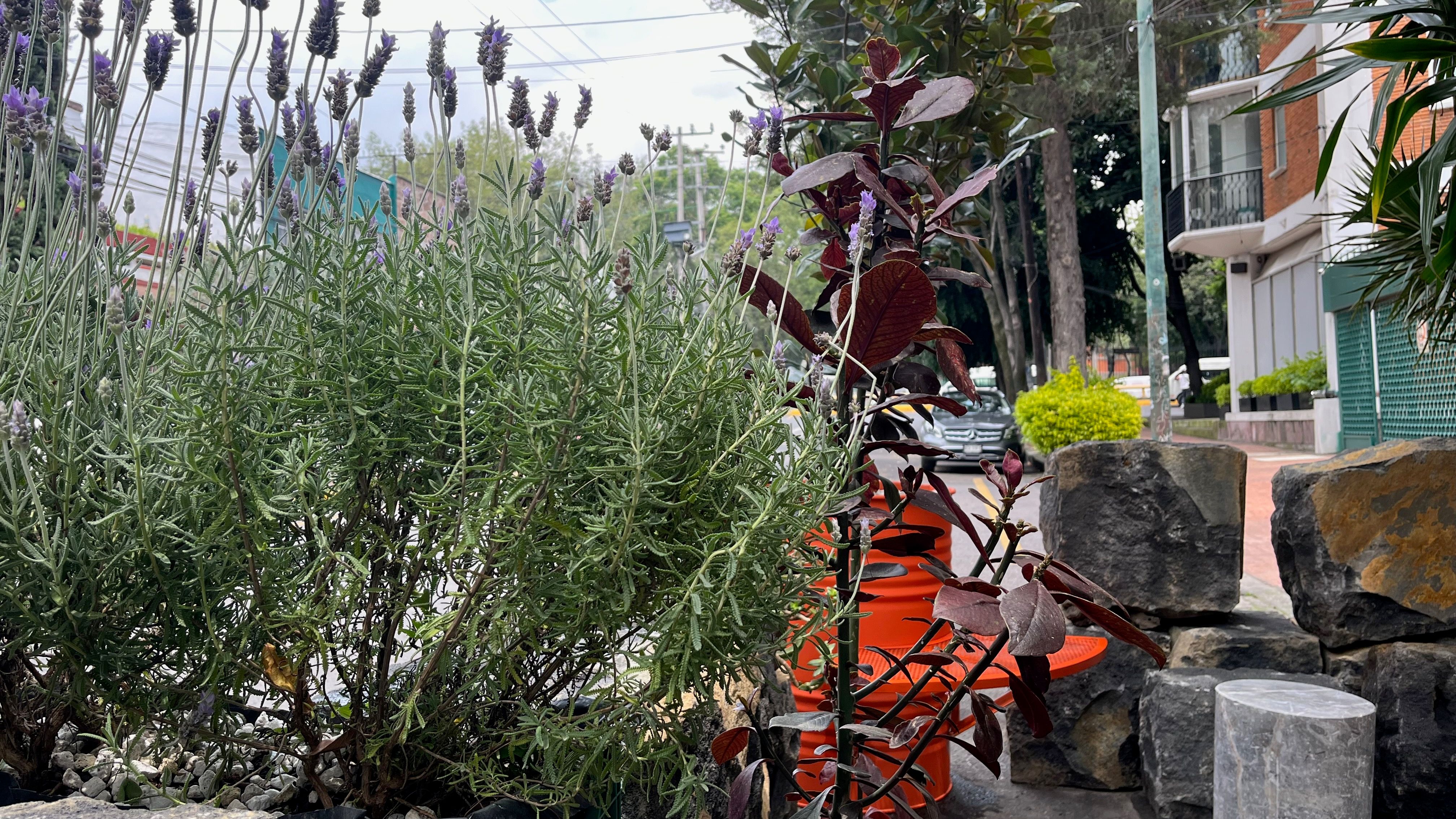 Gallery image 15